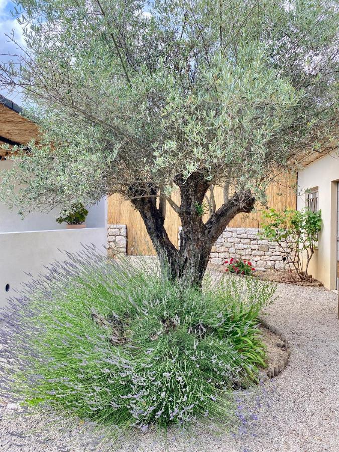 Appartamento Le Cabanon Valbonne Esterno foto